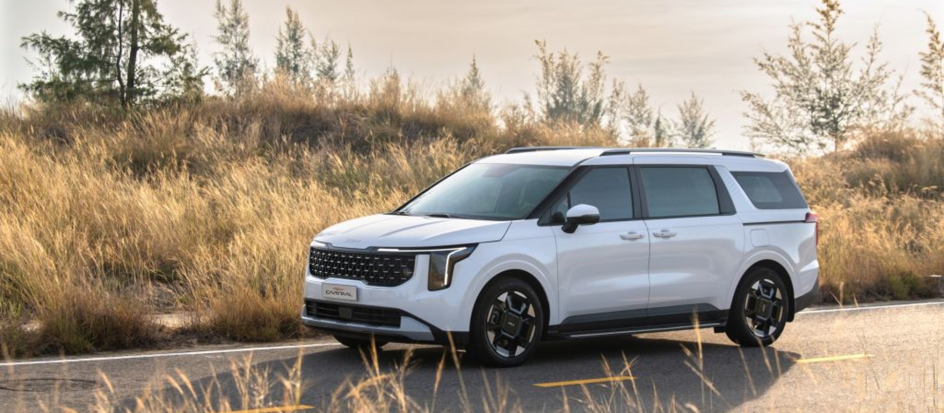 KiaMotorsVietNam